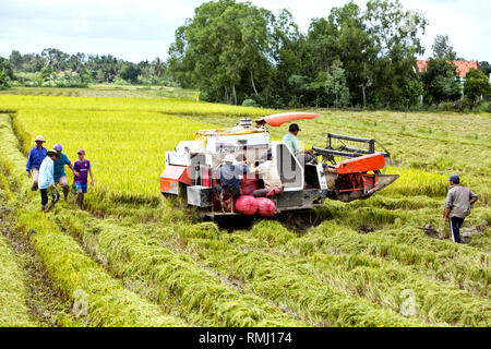 Operator maneuvering Kubota DC-60 rice harvester, Can Tho Province, Mekong Delta, Vietnam, Indochina. Stock Photo