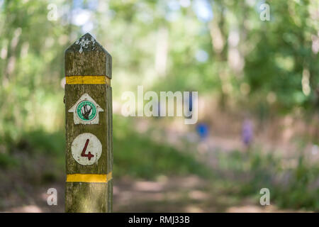 Banstead Woods, England - July 2018 : Wooden directions sign pole in Bansted Woods near London Stock Photo