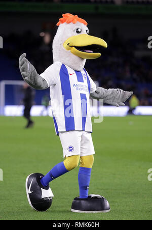 Brighton and Hove albion mascot Gully the seagull Stock Photo