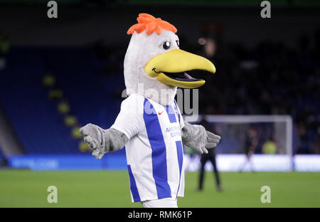 Brighton and Hove albion mascot Gully the seagull Stock Photo ...