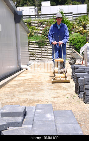 Builder using a vibrating roller before setting out paving stones for a pathway at a construction site in Westland Stock Photo