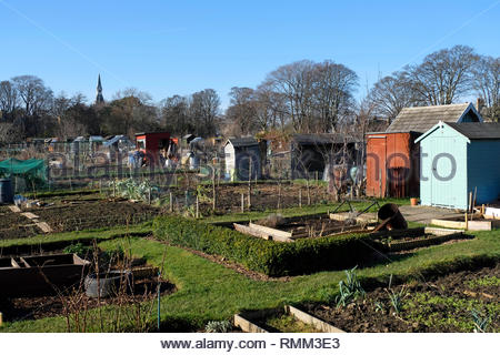 Municipal Allotments in urban park Stock Photo