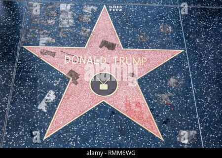Los Angeles, California, United States of America - January 8, 2017. Donald Trump star on the Hollywood Walk of Fame in Los Angeles, CA. Stock Photo