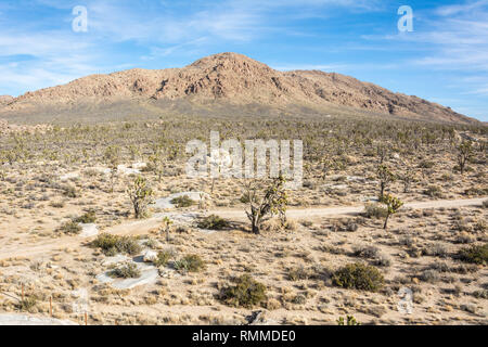 Landscape in Mojave Desert in California. Stock Photo