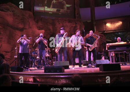 tower of power band members