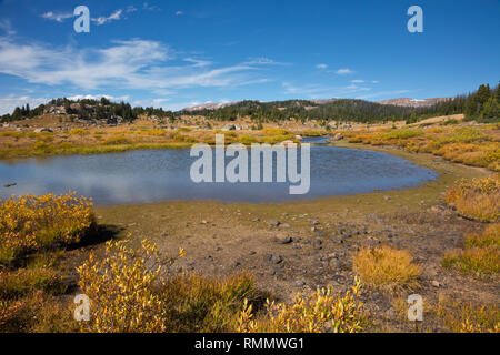 WY03738-00...WYOMING - Small pond near Chain Lakes along the Beartooth Highway in the Shoshone National Forest. Stock Photo
