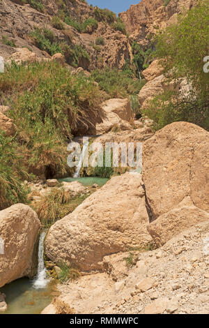 The Waterfalls in a Desert Oasis at Ein Gedi in Israel Stock Photo