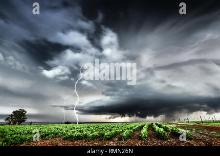 Dramatic thunderstorm with lightning landscape over a farm in the Highveld of South Africa Stock Photo