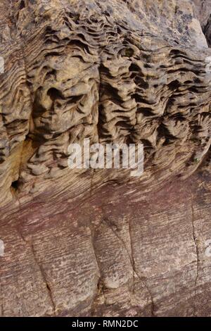 Convolute Bedding In Scottish Carboniferous Sandstone Geology Exposed ...