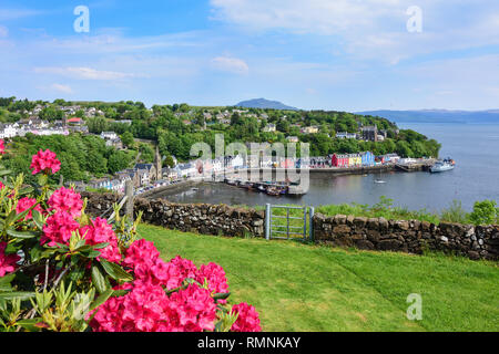 Colourful houses and fishing boats on quayside, Tobermory, Isle of Mull, Inner Hebrides, Argyll and Bute, Scotland, United Kingdom Stock Photo