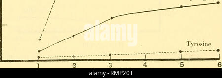 . Annals of applied biology. Biology, Economic; Biochemistry. 260 Development of a Standardised Agar Medium It therefore appeared probable that the amount of spreading would be correspondingly decreased on a medium containing amino-acid as the source of organic nitrogen. I therefore measured that increase in area of surface growths of B. dendroides upon the media employed in the last experiment, made up with 1-5 per cent. agar. A medium was also tested containing equivalent nitrogen in the form of tyrosine. Tubes of each medium were autoclaved and poured into sterile petri dishes. Each 60|- 50 Stock Photo