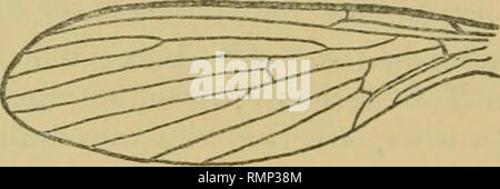 Scapal hi-res stock photography and images - Alamy
