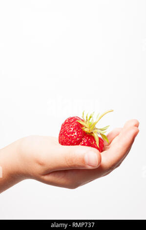 Small hand holding large red strawberry against a white background with copy space above