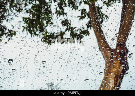 Drops of rain on the window; blurred tree in the background Stock Photo