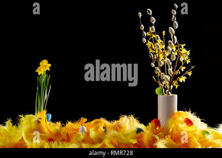 Dekoration with easter eggs and soft colour feathers. Stock Photo