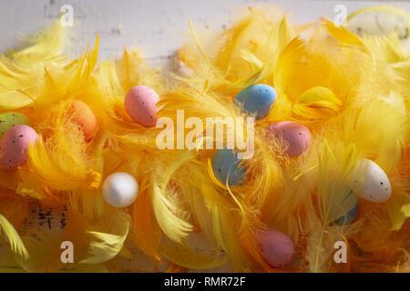 Dekoration with easter eggs and soft colour feathers. Stock Photo