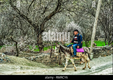 Uzbekistan scenes of life in the village Sentob on the Nuratau mountains, north of Samarkand, near Lake Aydar - man on donkey Stock Photo