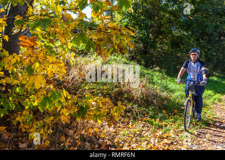 Active senior riding bike, cycling in autumn nature active aging, old man bike Stock Photo