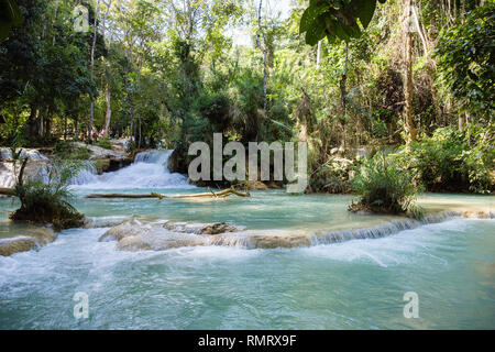 Pool at Tat Kuang Si waterfalls in woodland. Luang Prabang, Louangphabang province, Laos, southeast Asia Stock Photo