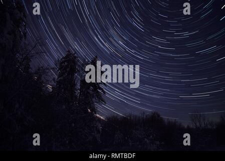 Star trails at night in the frozen forest in winter Stock Photo