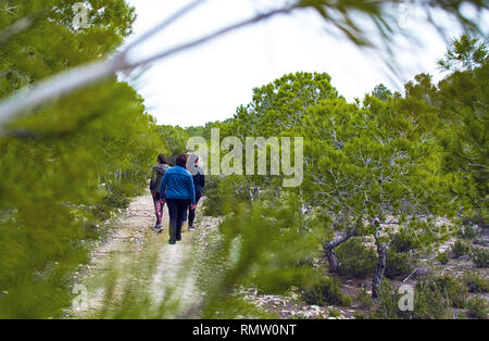 Small group of runners dressed in sportswear talking and walking through woods in autumn. Stock Photo
