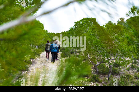 Small group of runners dressed in sportswear talking and walking through woods in autumn. Stock Photo