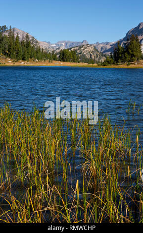 WY03757-00...WYOMING - Small lake along the Beartooth Highlakes Trail in the Beartooth Mountains area of the Shoshone National Forest. Stock Photo