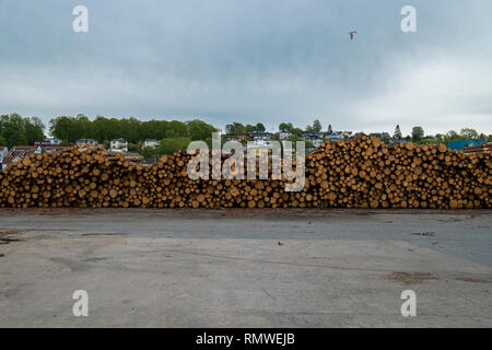 Timber, Wood, Logs stacked, piled at the port of Moss, Norway waiting to be transported. Stock Photo