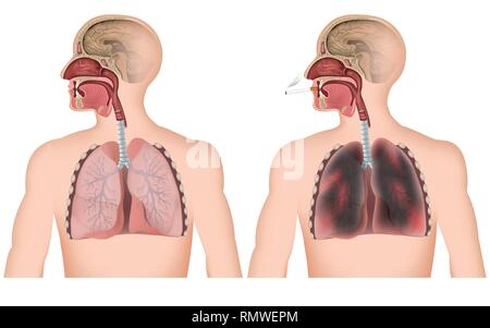 Illustration of a man smoking on a white background Stock Vector Image ...