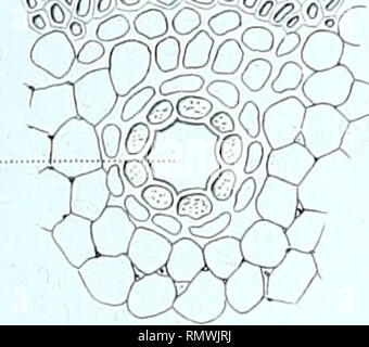 Annales Des Sciences Naturelles I Tfi Ffe F Scienc Fiftt 2 Serft Zoul Torn Uo J L J3 L I Nin T I I Ii Iitiiifr I I R Inni Ii Tw Please Note That These Images Are Extracted From Scanned Page Images That May Have