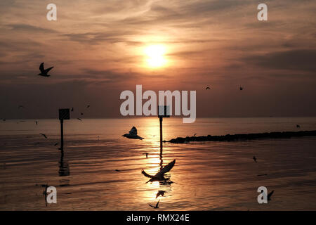 Sunset scene with warning marking steel pole in the sea and flying seagulls in the sky at twilight time. Stock Photo