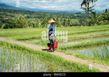 January 20th, 2019 - BALI, INDONESIA - Woman with a child walk on rice fields of Jatiluwih in Bali, Indonesia. Stock Photo