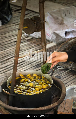 Cambodia, Phnom Penh, Koh Dach, Silk Island traditional weaving centre, soaked silk worm cocoons being untangled with aubergine leaf Stock Photo