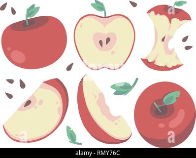 Vector illustration collection of different cartoon style juicy red apples including slices, cores, halves and leaves Stock Vector