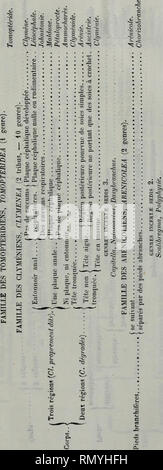 Annales Des Sciences Naturelles Note Sur La Classification Des Annelides 295 S R Quot S Ss O A Il S I S A Ce 5 8t I C A 5j