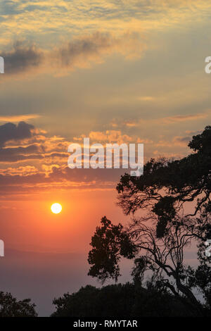 Sunrise over the ngorongoro crater with a tree and clouds, ngorongoro conservation area, Serengeti, Tanzania, Africa Stock Photo