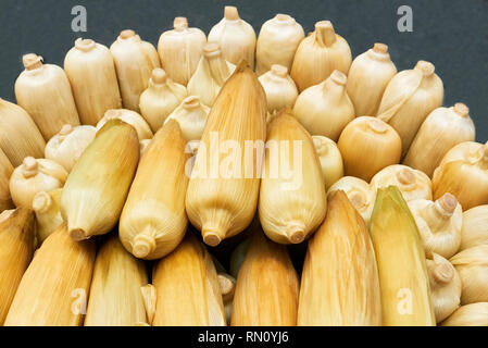 Close-up of steamed, not yet pealed yellow corn, for sale at a street vendor in Manila, Philippines Stock Photo