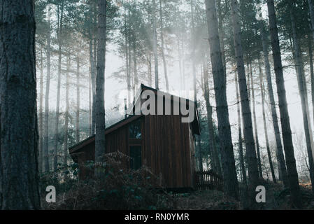 Log cabin in the forest with sun coming through trees Stock Photo