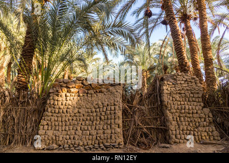 An old traditional building made of clay, thatched walls and adobe bricks in the gardens of date palms near El-Bawiti town, in oasis of Bahariya, West Stock Photo