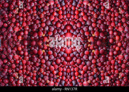 Food background, texture of assorted fresh berries Stock Photo