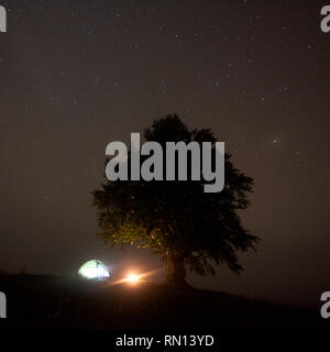 Fantastic night view of brightly lit from inside tourist tent camping in mountain valley, bonfire and big tree against deep black sky with milliards of sparkling stars. Tourism and traveling concept. Stock Photo