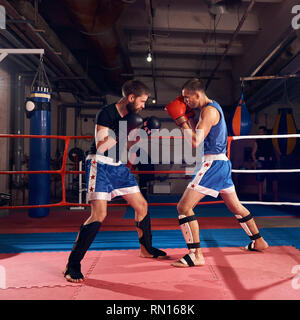 Two athletic men boxers exercising kick boxing in the ring at the health club Stock Photo