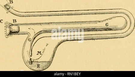 Annales De Micrographie 569 D Eau D Environ 10 Cmc De Longueur Et Les Germes Se Fixent Dans Ce Parcours Soit Sur Les Parois Humides Du Tube En U Soit Dans Le