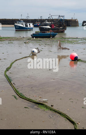 Folkestone harbour Kent at low tide Stock Photo