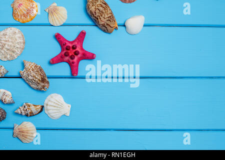 Sea star and shells on wooden blue background.Different marine items on blue painted wooden background. Sea objects on wooden planks. Selective focus. Stock Photo