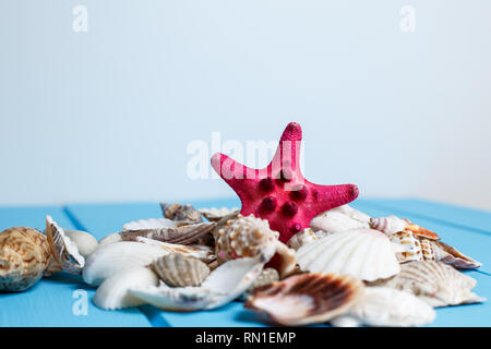 Sea star and shells on wooden blue background.Different marine items on blue painted wooden background. Sea objects on wooden planks. Selective focus. Stock Photo