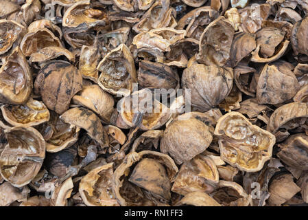 close up view of shattered walnut shells. Textured background of drought walnut shells Stock Photo