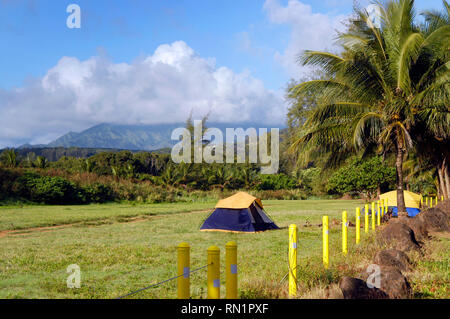 Dome shaped tent sits in a grassy field with a view of the Kauai Mountains.  Campground has palm trees.  Dog guards tent. Stock Photo
