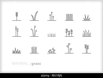 Set of 15 simple grass line icons showing abstract types of grass, leaves, weeds, stalks and buds found in fields, lawns, forests and nature Stock Vector