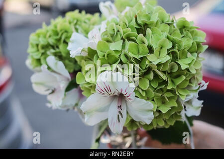 bouquet of girlfriends from green hydrangeas and lilies Stock Photo